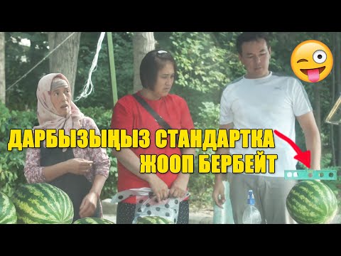 Видео: Дарбызыңыз стандартка жооп бербей жатат