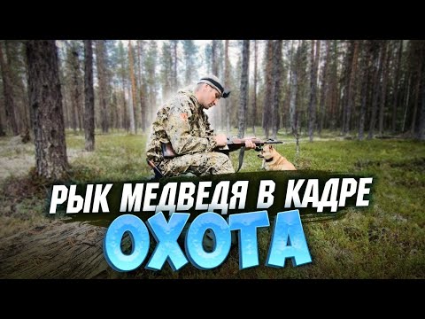 Видео: ОХОТА,ПОДОШЕЛ НА 10М, МЕДВЕДЬ РЯВКНУЛ КАК ДИНОЗАВР,БРОДЯГИ.