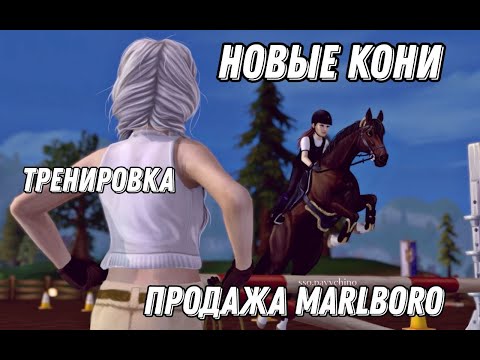 Видео: RRP Vlog|ТРЕНИРОВКА|Продажа лошади|SSO