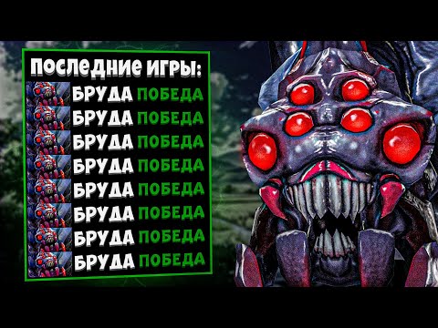 Видео: ЭТОТ ГЕРОЙ СПАСЕТ ТВОЙ РЕЙТИНГ 😈 МИД BROODMOTHER 🕷️