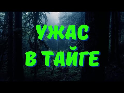 Видео: Расследование в заброшенной деревне/ Страшилки про тайгу/Страшные истории про деревню