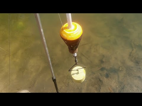 Видео: Цей технопланктон ловить добрих кабанів! Риболовля на товстолоба.