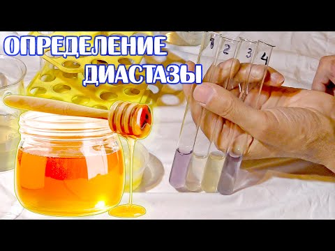 Видео: ОПРЕДЕЛЕНИЕ ДИАСТАЗЫ МЁДА. Почти по ГОСТу. Проверка на качество.