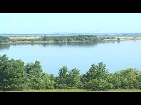 Видео: "Координаты: Алтай" -  Гилёвское водохранилище (Бийское телевидение)