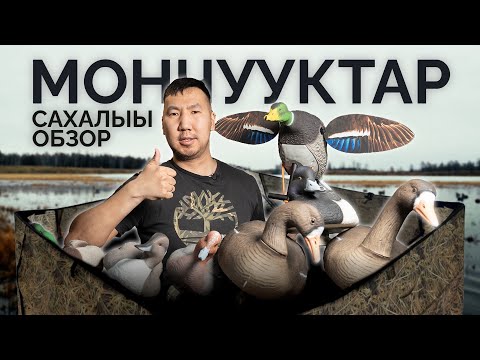 Видео: МОНЧУУК УОННА МАХОКРЫЛ | САХАЛЫЫ ОБЗОР