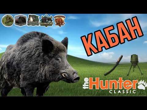 Видео: The Hunter Classic Кабан охота и выполнение миссий Гайд для новичков