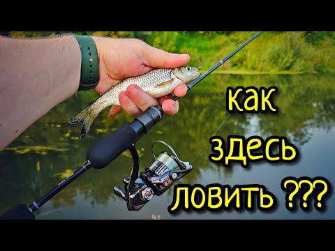 Видео: МОРМЫШИНГ, КОГДА ВСЁ ЗАРОСЛО !!! КАТУШКА ДЛЯ МОРМЫШИНГА NAUTILUS FUKURU 2000SS, НАС ОПЯТЬ ОБМАНУЛИ ?
