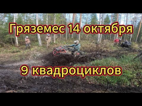 Видео: 9 квадроциклов по Кировской грязи. Aodes, Stels, Arctic Cat, RM