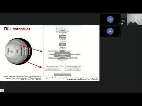 Видео: Игорь Заболотских: проект клинических рекомендаций ФАР  "Геморрагический шок" / journal_vit