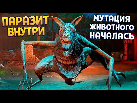 Видео: ЧТО ДЕЛАЕТ ПАРАЗИТ ВНУТРИ ЖИВОТНОГО ( Zoochosis )