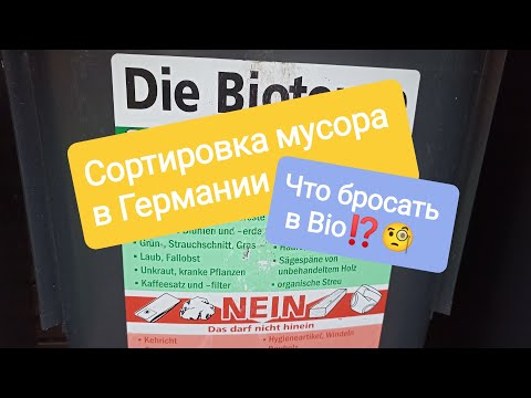 Видео: Сортировка мусора в Германии. Что бросать в Био-контейнер.⁉️🧐🍓🌲☘️