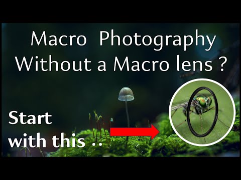 Видео: Секреты макросъемки без макрообъектива.