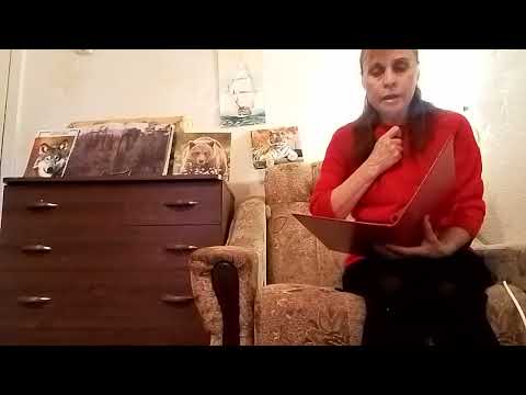 Видео: 9 ноября 2025 г.