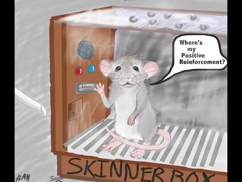 Видео: Нейробиология. Лекция 1. Бихевиоризм.