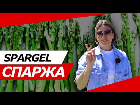 Видео: СПАРЖА В ВЕНЕ (АВСТРИЯ)