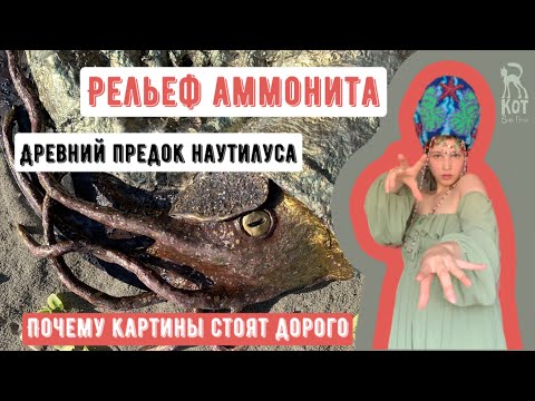 Видео: РЕЛЬЕФ С АММОНИТОМ: самая необычная картина для интерьера и почему картины стоят дорого