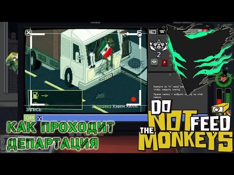 Видео: Слежка за мексиканскими приматами в Do Not Feed the Monkeys 12.11.2018