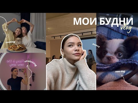 Видео: МОИ БУДНИ: купили собаку / готовим пирожки / спорт / мероприятие по стилю / встреча с друзьями