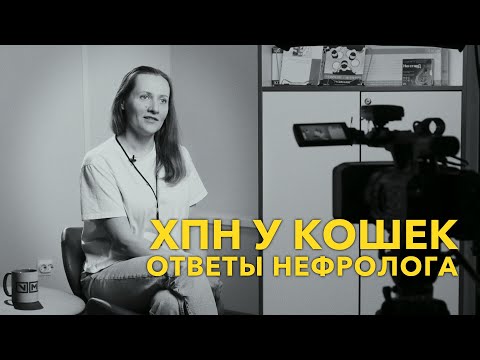Видео: ХПН у кошек
