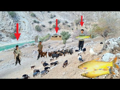 Видео: 🏔Козочки и кочевая жизнь | Красивые сцены кочевого скотоводства и рыболовства на реке Загрос🎣