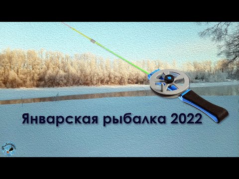 Видео: Январская рыбалка 2022, безмотылка