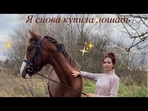 Видео: Я снова купила лошадь 🐴✨🤎