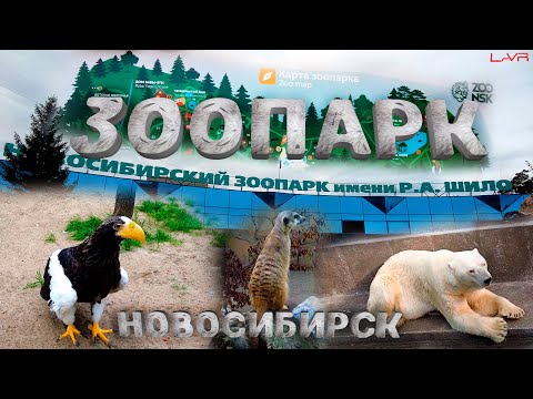 Видео: Новосибирский ЗООПАРК им. ШИЛО | Новосибирск | #новосибирск  #зоопаркновосибирск