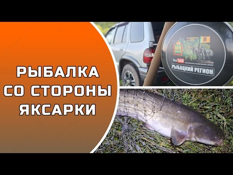 Видео: РЫБАЛКА СО СТОРОНЫ ЯКСАРКИ