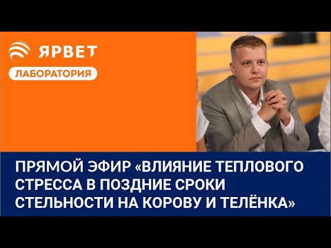 Видео: Тайны влияния теплового стресса на корову