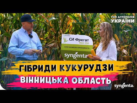 Видео: Гібриди кукурудзи «Сингента» | ТОВ «ОЛЬГА», Вінницька обл.