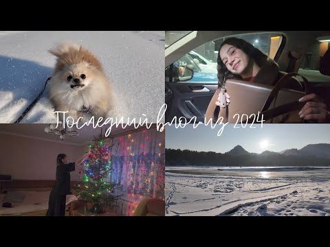 Видео: 55; АЛТАЙ// Последний влог из 2024 | Элекмонар | Зимний Алтай | Поставили елку | Приехала Настя/VLOG