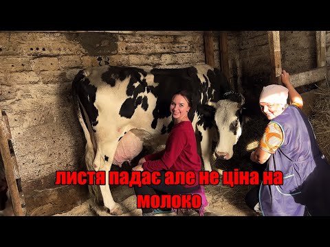 Видео: НЕ ВИДЕТЕ ТРУДА - ВИДЕТЕ ТОЛЬКО ЦЕНУ💰🐄