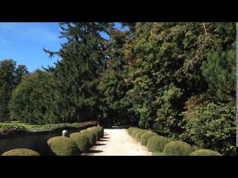 Видео: Абрахам Хикс: Эпизод 17.  Игра настройки на волну