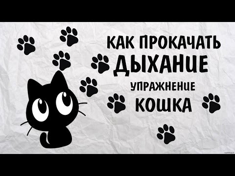 Видео: КАК ПРОКАЧАТЬ ДЫХАНИЕ || НОВОЕ УПРАЖНЕНИЕ КОШКА ИЗ МЕТОДИКИ ИРИНЫ ЦУКАНОВОЙ