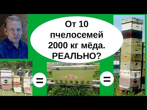 Видео: От 100 кг мёда с зимовалой пчелосемьи получают профессиональные пчеловоды. Бизнес пасека на сотке.