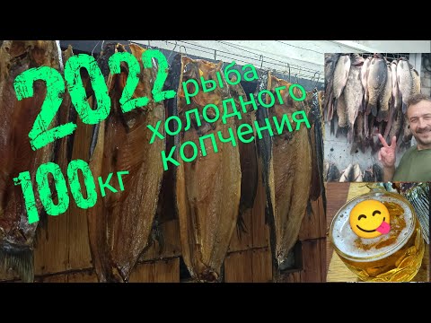 Видео: 100 килограмм рыбы. Коптим холодным способом!!! 😋😋😋