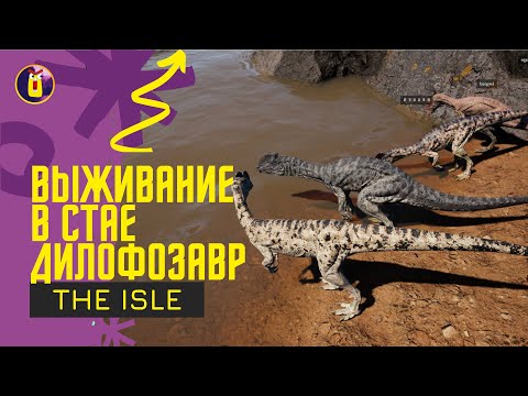 Видео: The isle. Я встретил дружную стаю дилофозавров.