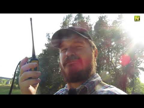 Видео: [Natalex] Тест квадрифилярной антенны с помощью радиостанций...