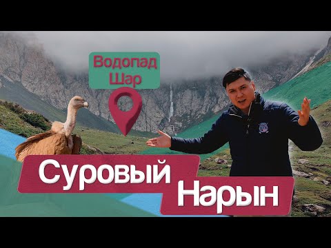 Видео: Суровый Нарын | Водопад Шар | Стая ГРИФОВ в НАРЫНЕ | Невероятное приключение | Трэвелбро