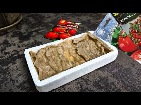 Видео: Семена поперли как дикие после этих 2 способов. Почему я раньше об этом не знала