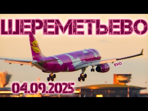 Видео: Споттинг в Шереметьево 04.09.2025 часть 2