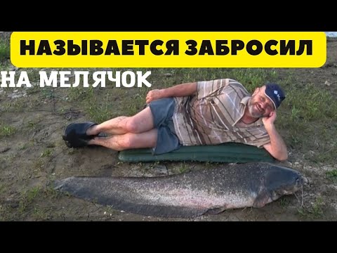 Видео: Забросил наживку на глубину всего пол метра и результат удивил