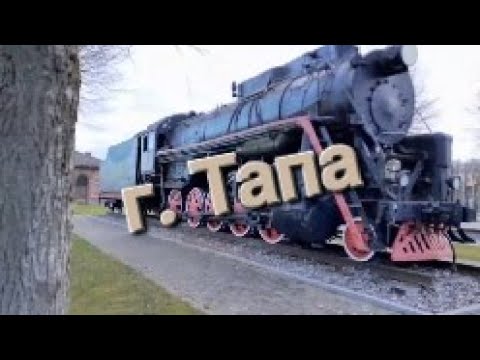 Видео: г. Тапа