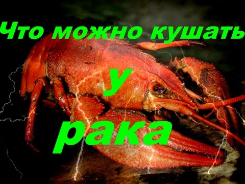 Видео: Что можно кушать у рака(Дневник рыболова)