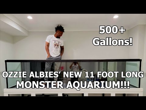 Видео: УСТАНОВКА АКВАРИУМА-МОНСТРА ДЛЯ ОЗЗИ АЛЬБИ ДЛИНОЙ 3,5 МЕТРА!!! ОБЪЁМОМ БОЛЕЕ 500 ГАЛЛОНОВ!! - PRE...