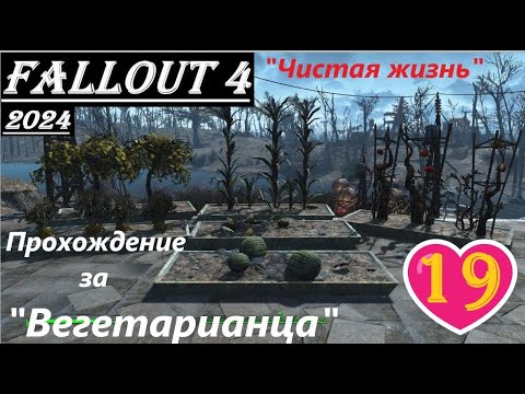 Видео: Fallout 4 Прохождение, выживание, одна жизнь:- без силовой брони, ватса, химии, легендарок и мяса !
