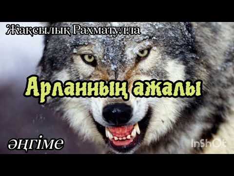 Видео: Арланның ажалы (әңгіме) Жақсылық Рахматулла