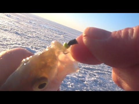 Видео: ЗА ВЕСЕННИМ ОКУНЕМ...на КОЛОКОЛЬЧИК!!! Закрытие сезона