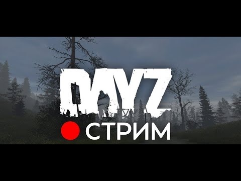 Видео: Стрим по DAYZ || В поисках ЛУЧШЕГО СЕРВЕРА