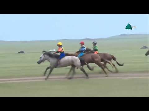 Видео: Ламын гэгээний даншиг 2019
